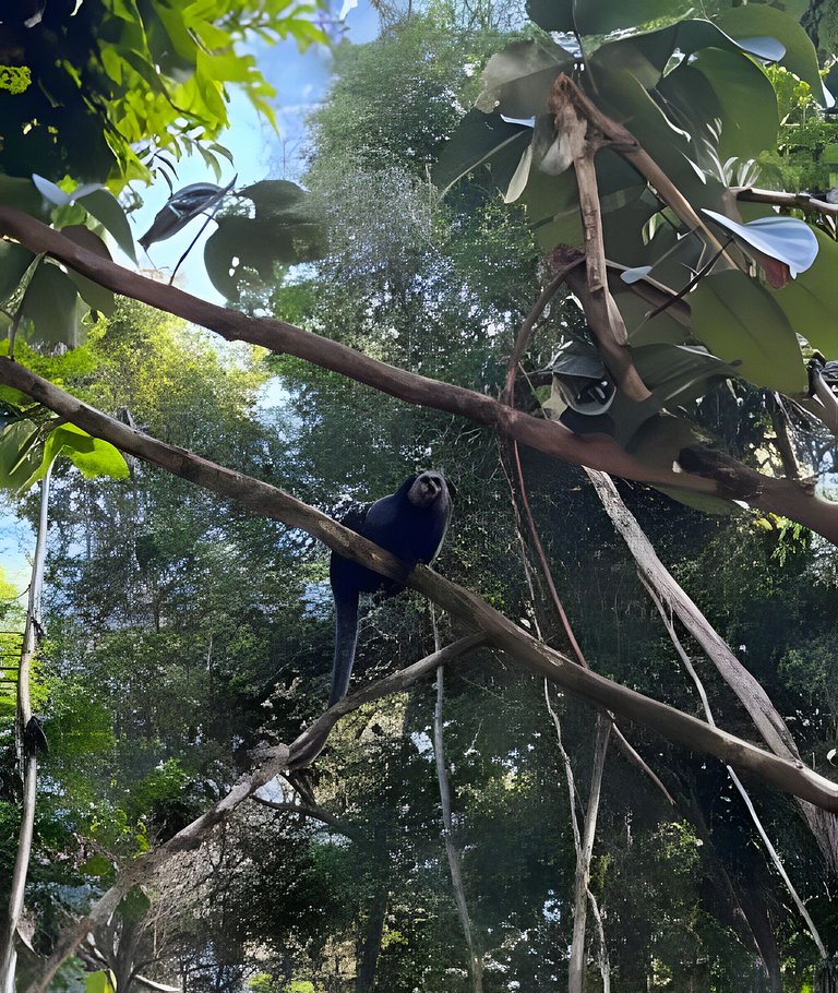 Chalé 5 · Lindo chalé na mata em Itacaré