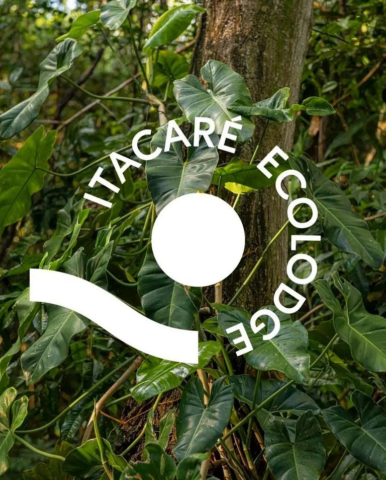 Chalé 3 · Lindo chalé na mata em Itacaré