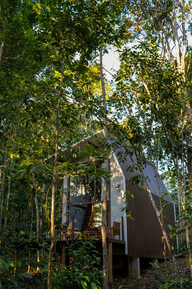 Itacaré Ecolodge - Experiencia de Imersão na Mata Atlântica