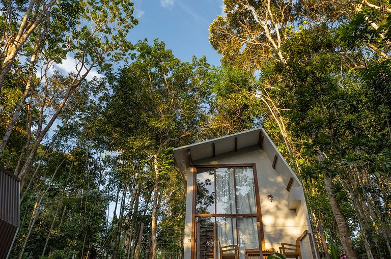 Itacaré Ecolodge - Experiencia de Imersão na Mata Atlântica